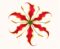 pal info logo